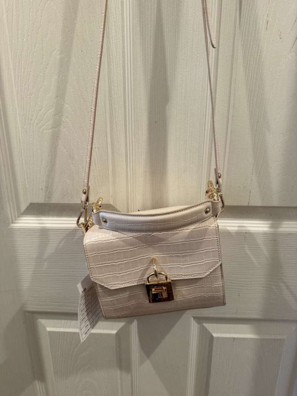 Steve Madden Croc-Embossed Mini Crossbody in Pale Pink with Gold Hardware